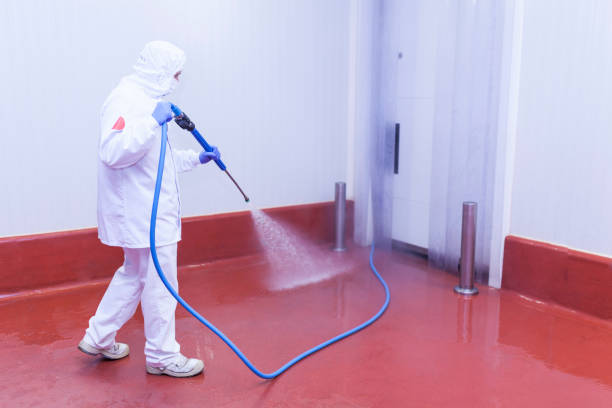 Best Warehouse Cleaning  in Smith Mills, MA